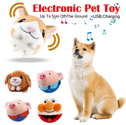 Pawsome Bounce & Play Pet Pal