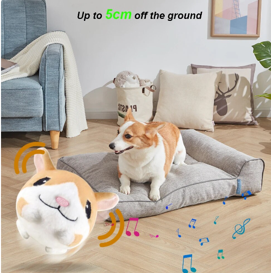 Pawsome Bounce & Play Pet Pal