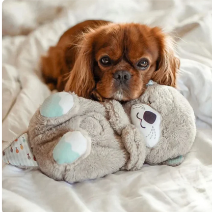 Soothing Companion: Plush Pooch Pal