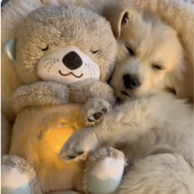 Soothing Companion: Plush Pooch Pal