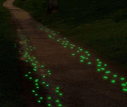 Glow In The Dark Pebbles